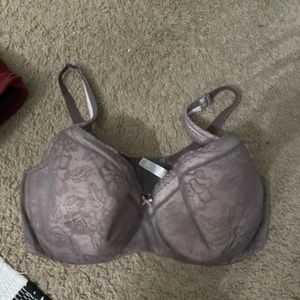 Nwot purplish grey bra for size 42F